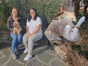 Tierheim Ahaus: Tiere, Vermittlung, Besuch und wichtige Informationen Tierheim Ahaus