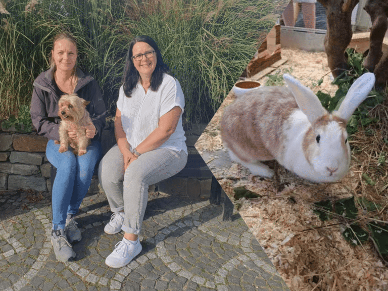 Tierheim Ahaus: Tiere, Vermittlung, Besuch und wichtige Informationen Tierheim Ahaus